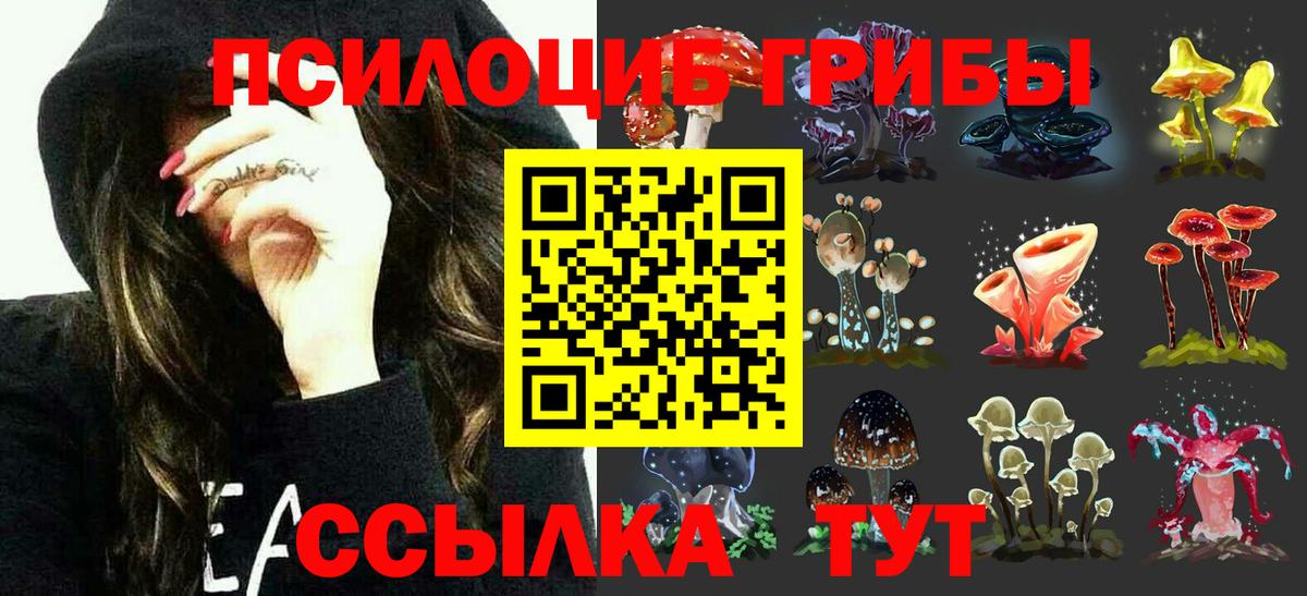 Галлюциногенные грибы мицелий Михайловск