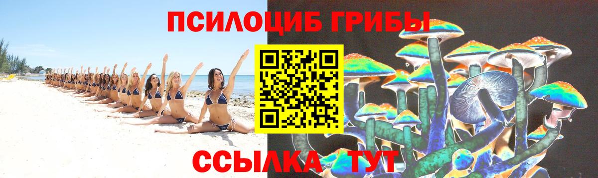 Галлюциногенные грибы ЛСД  Вход с VPN  Галлюциногенные грибы Psilocybe  Михайловск 